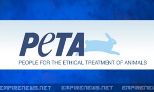 Empire-News-PETA-Goes-Directly-To-Source-Pays-Poachers-For-Videos-Of-Animal-Abuse