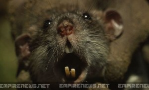 'Super Rats' Terrorize New York City