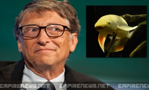 Bill Gates Pays $12 Million Ransom For Return Of Beloved Pet Fish; Suspect Remains At Large