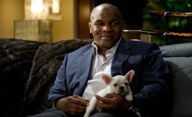 Mike Tyson Says Budweiser's 'Lost Puppy' Commercial Made Him Cry, Adopted Dog Next Day